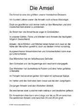 Die-Amsel-Text-1.pdf